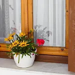 Anna's House